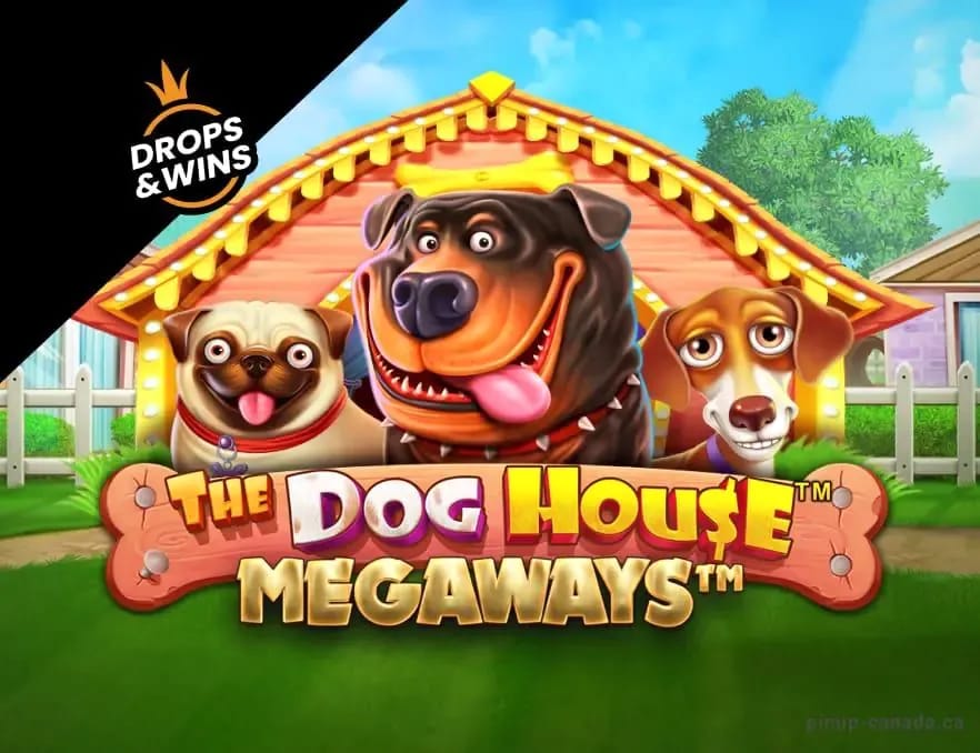 betplays casino Gallery 1-15